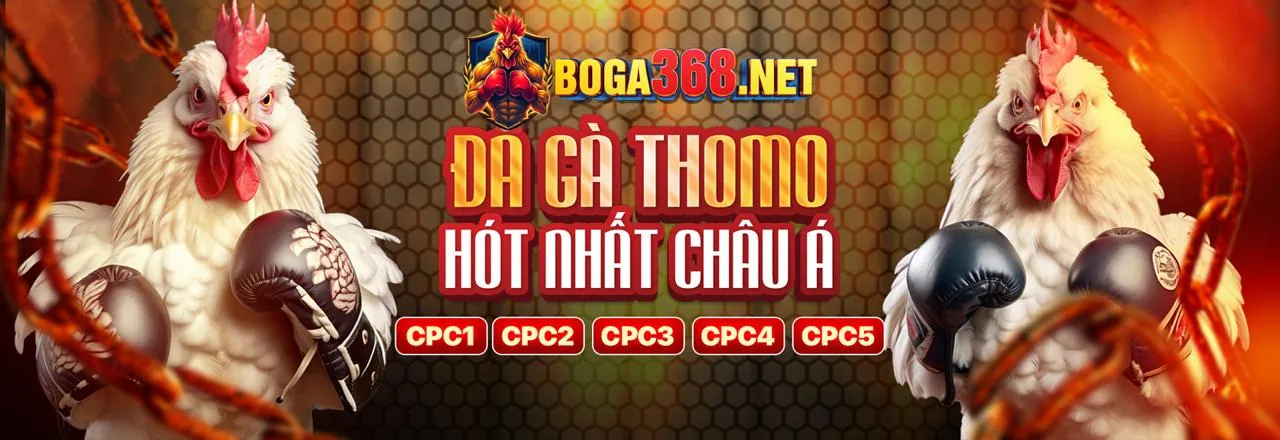 Tương lai của ngành cá cược