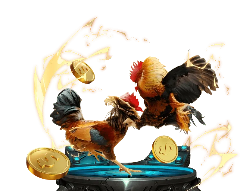 Chọn nền tảng đá gà 999 uy tín